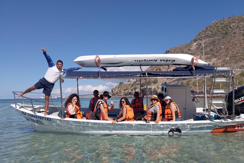 La Paz: Espíritu Santo Sea Lion Snorkel with Starlink Wi-Fi Without Pick Up and Drop Off