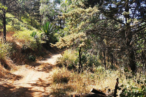 From Praia: Santiago Island Guided Day Trip