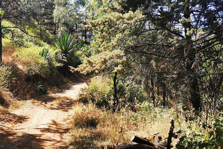 From Praia: Santiago Island Guided Day Trip