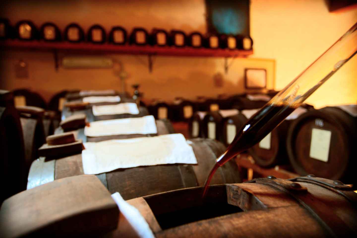 Modena: tour & taste of Bio,Traditional Balsamic Vinegar PDO