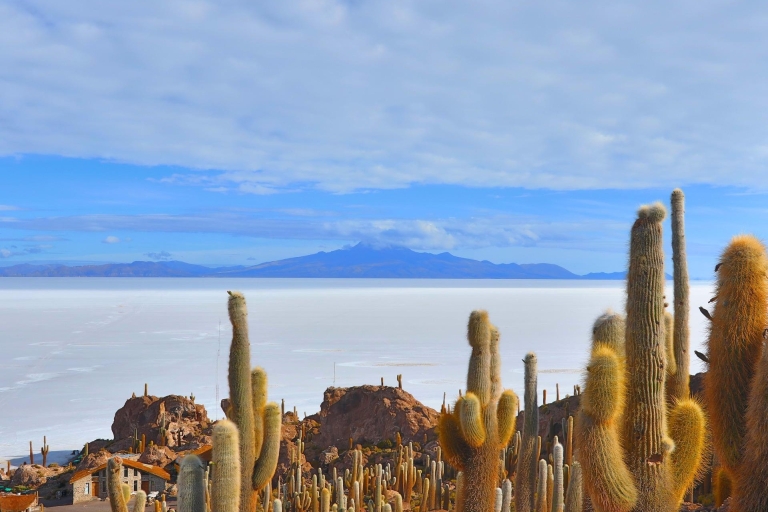 From La Paz: Uyuni Salt Flats Excursion + Round Trip Bus From La Paz: 3-day excursion to Uyuni