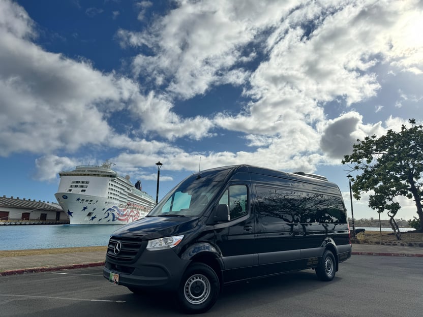Oahu : Transfert au terminal de croisière du port d'Honolulu
