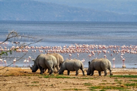 Park Narodowy Nakuru i jednodniowa wycieczka po jeziorze Naivasha