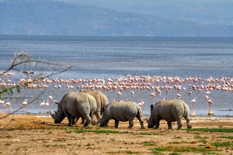 Nakuru National Park und Lake Naivasha Tagestour