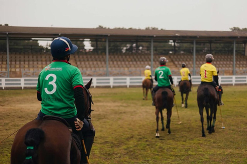 巴库骑马体验：邂逅世界名驹标准套餐