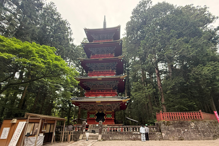 From Tokyo: Nikko World Heritage Sight Full Day Private Tour