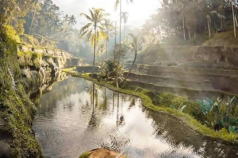 Bali: Ubud Highlights Tour with Coffee Plantation