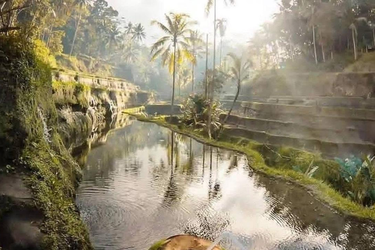 Bali: Ubud Highlights Tour with Coffee Plantation