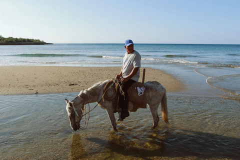 St. Lucia: Premium Beach Horseback Ride