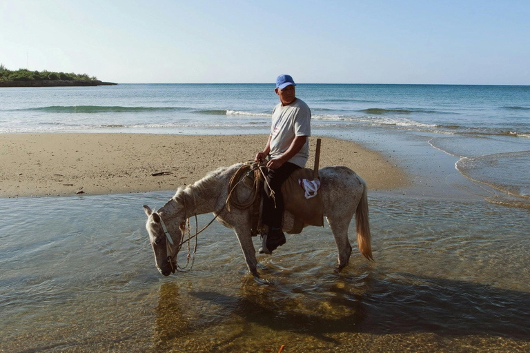 St. Lucia: Premium Beach Horseback Ride