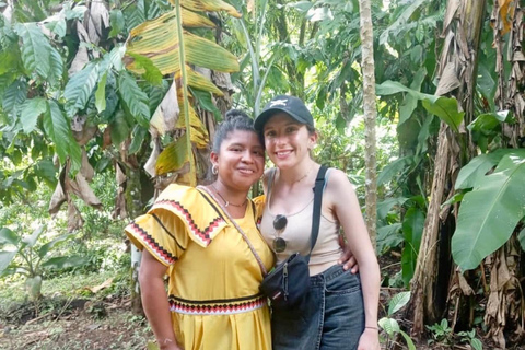Indigenous Cacao Tour in Bocas del Toro
