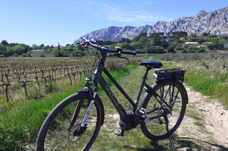 The wines of Provence.... a must to discover !