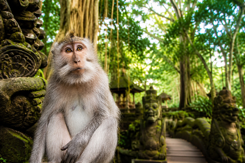 Bali: Monkey Forest, & Temple, With Waterfall, Swing Tour Private Tour Entry Ticket