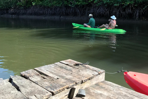 Ko Lanta: Tour di mezza giornata in kayak con mangrovie e pranzo