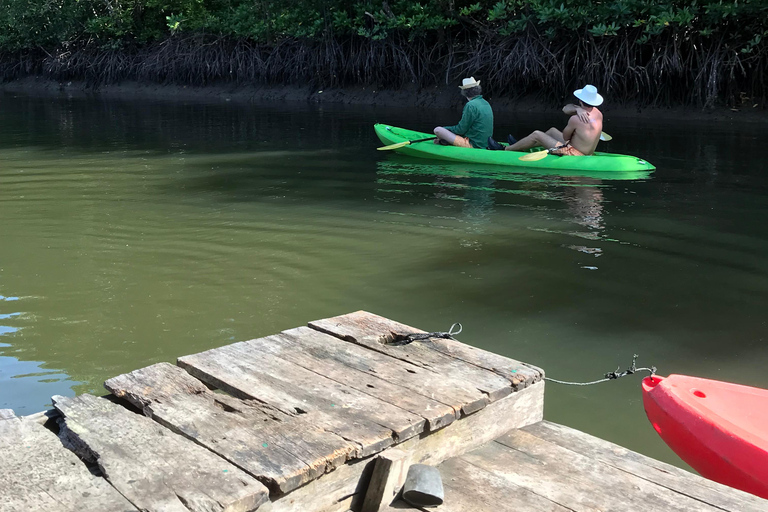 Ko Lanta : Visite d'une demi-journée en kayak dans la mangrove avec déjeuner