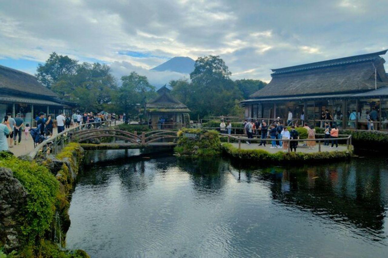 Mt. Fuji and Hakone Private Tour in Luxury Vehicle
