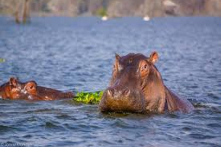 Nairobi: Nationaal Park Hell&#039;s Gate en Lake Naivasha Dag ...