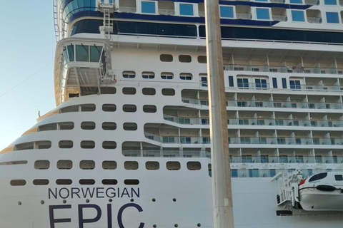 Pisa and Florence Private Shore Excursion from Livorno Port