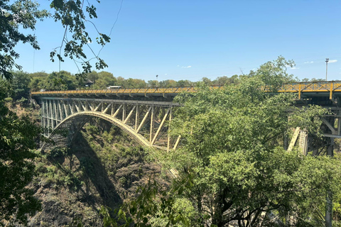 Guided Walking Tour to Victoria Falls