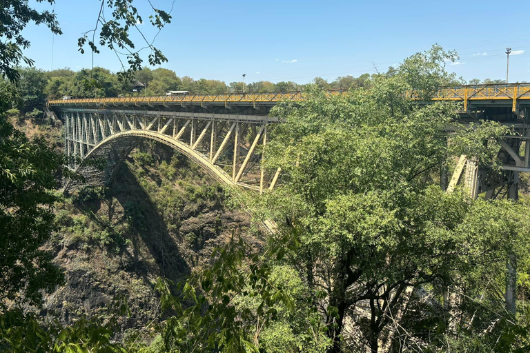 Guided Walking Tour to Victoria Falls