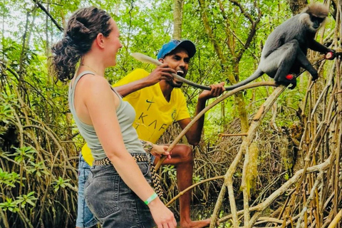 Colombo: Bentota Mangrove River Safari 6-8 Hour Tour