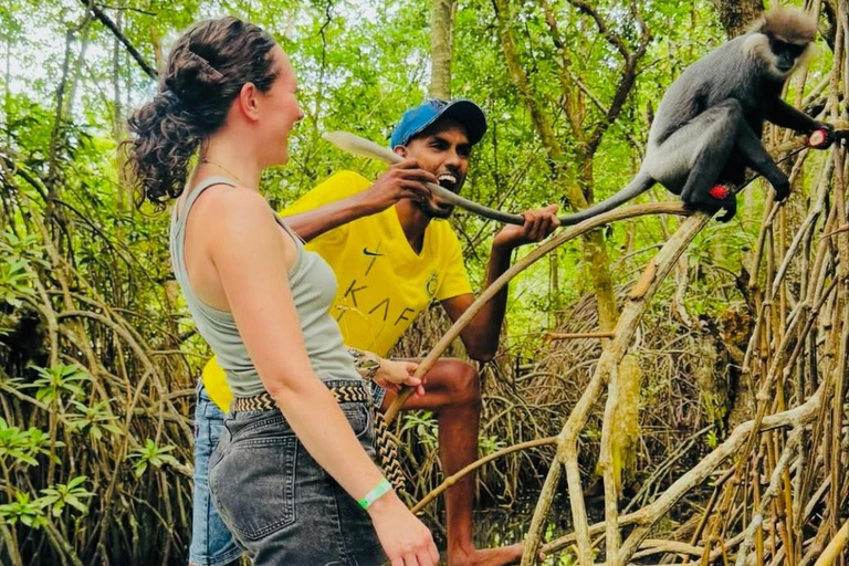 Colombo: Bentota Mangrove River Safari 6-8 Hour Tour
