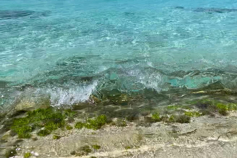 Saona Island VIP: 4 Beaches , Mano Juan & Canto de la Playa 4 Beaches VIP Saona Island: Mano Juan & Canto de la Playa