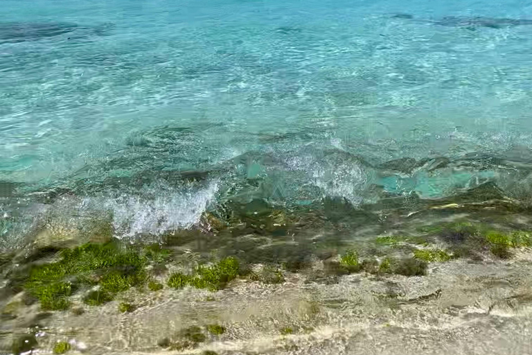 Saona Island VIP: 4 Beaches , Mano Juan & Canto de la Playa 4 Beaches VIP Saona Island: Mano Juan & Canto de la Playa