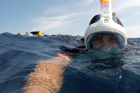 Cargèse: Capo Rosso Snorkeling Adventure with Boat Ride