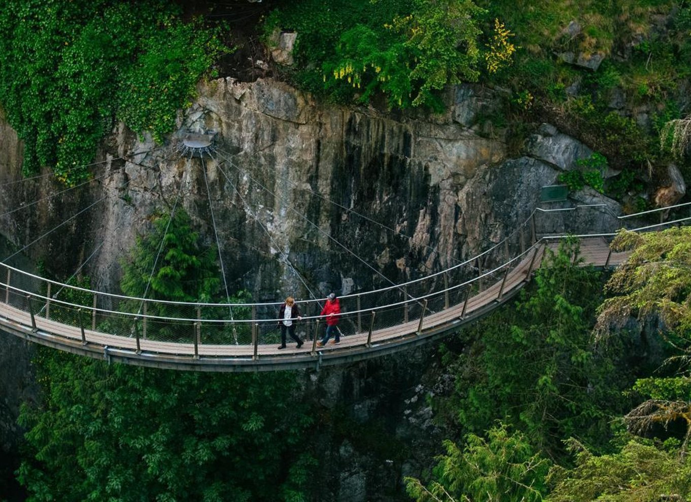 Vancouver: Capilano Suspension Bridge Park billet