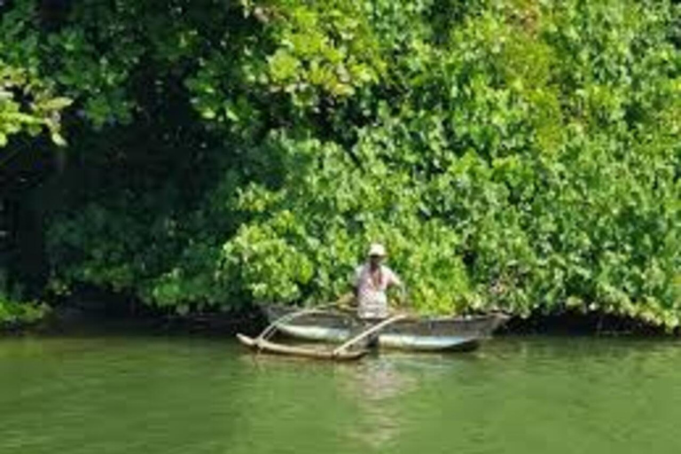 Bentota: River Safari with Hotel Pickup and Drop-Off