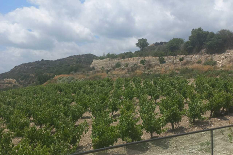 From Larnaca: Meet the Locals of Lefkara