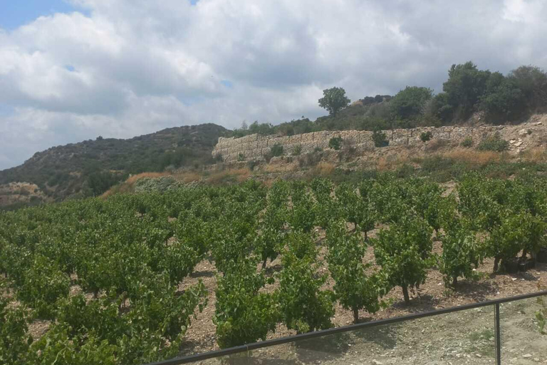 From Larnaca: Meet the Locals of Lefkara