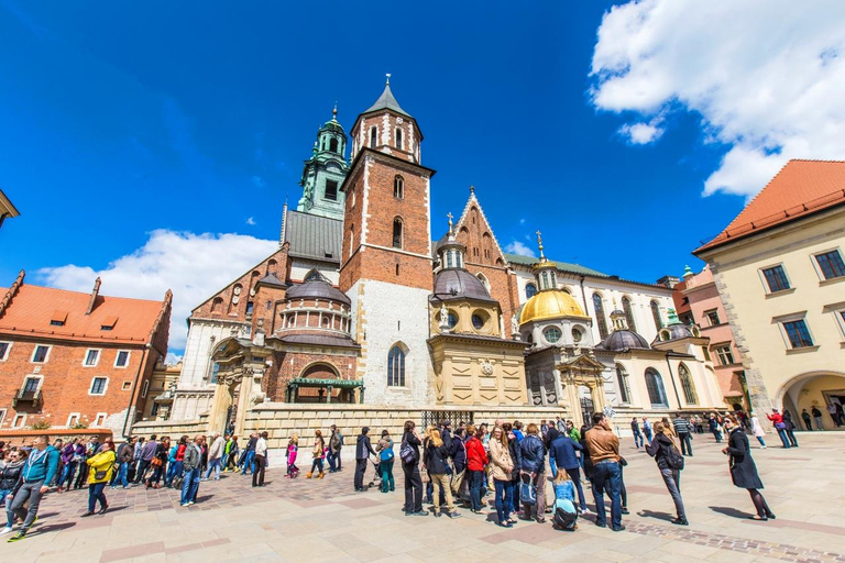 Wawel Castle, Old Town, Mary Basilica & Underground Museum English Tour