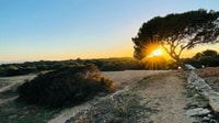 Port de Sóller, aventura de pareja, juego divertido y caminata de la ciudad - Housity
