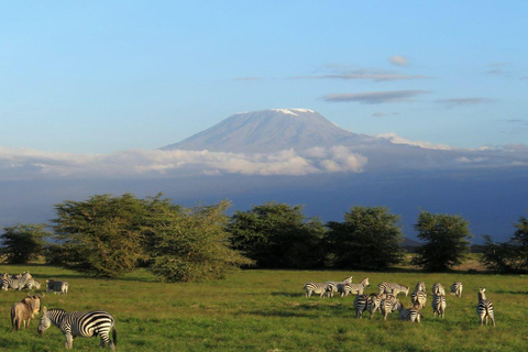 5-dagars safari till Amboseli, Tsavo West, Taita &amp; Tsavo East