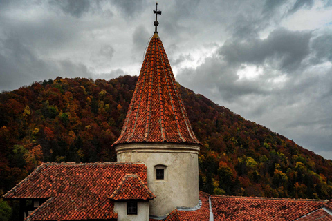 Visite du château de Bran