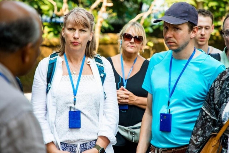 Dublin: Hoogtepunten en verborgen juweeltjes wandeltourPrivé wandeltour