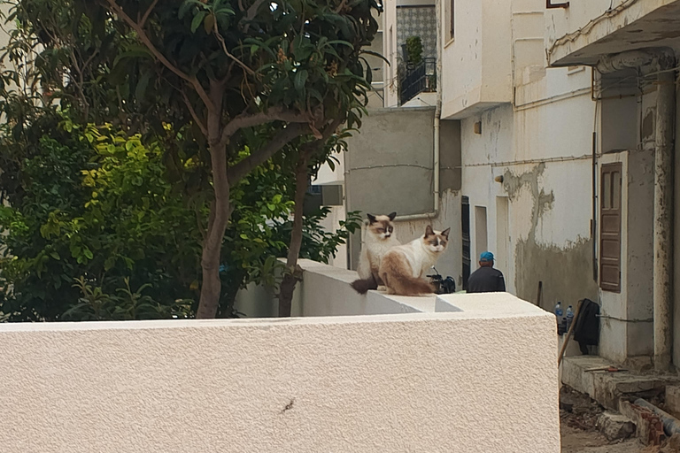 Visite de la Médina de Tunis et ses principaux monuments.