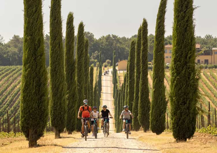 Pienza : Visite guidée en E-bike dans le Val d'Orcia