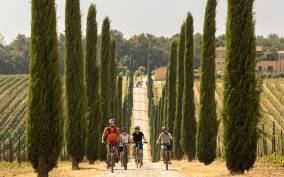 Pienza: Guided E-bike Tour through the Val d'Orcia