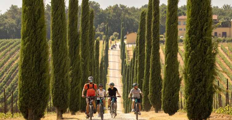 Pienza: Guided E-bike Tour through the Val d'Orcia