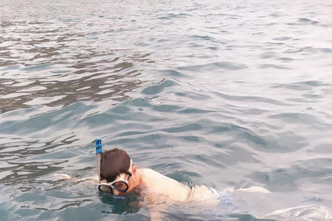 Snorkeling z żółwiami