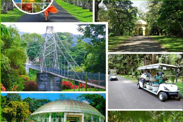 Kandy Top City Sights & Agro Tech Park Visit 4-Hours Tour Kandy Top City Sights visit -01