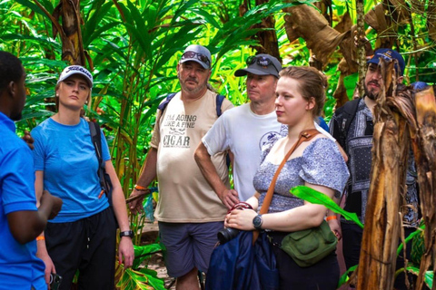 Zanzibar: Spice Farm Private Tour with Lunch & Fruit tasting with a meeting point - No pickup no drop-off