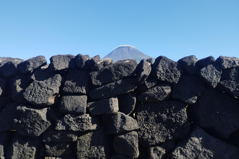 Pico Grand Tour: Volcanoes, UNESCO Vineyards & Local Culture