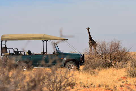 Full Day Safari in Chobe National Park From Victoria Falls