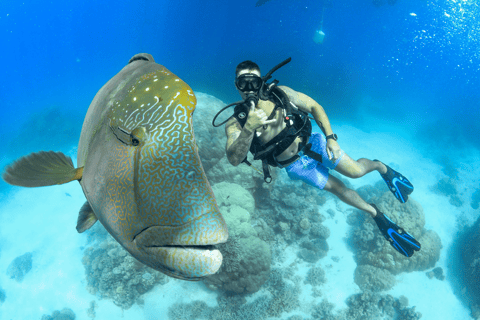 4-dagars lära sig dyka PADI Open Water-kurs