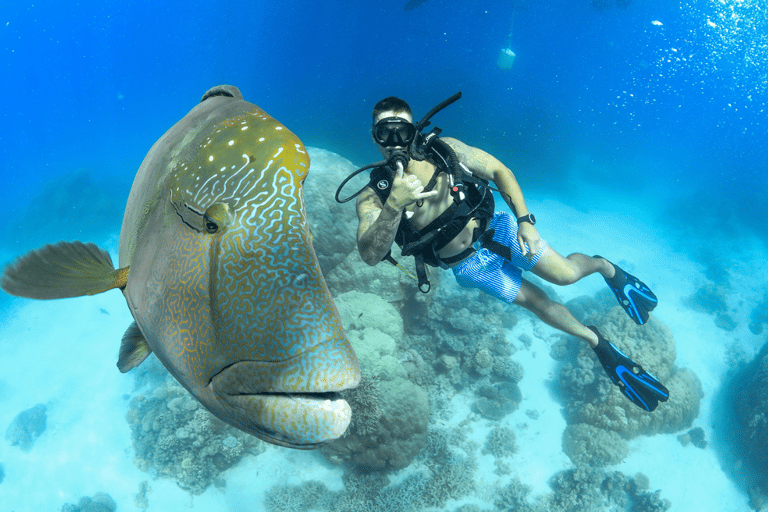 Corso PADI Open Water di 4 giorni per imparare a immergersi