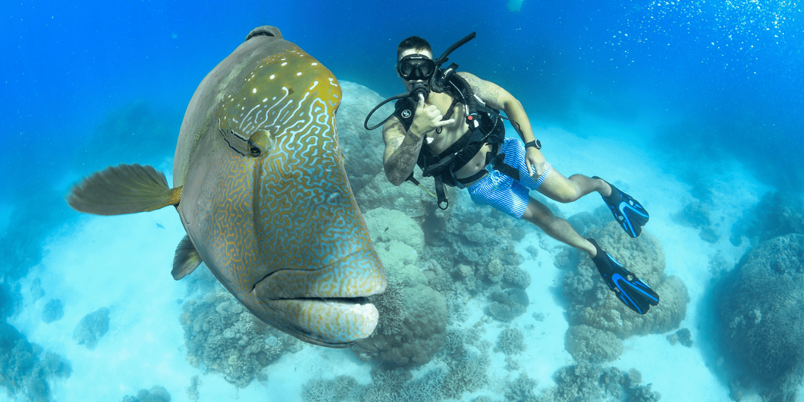 Cairns: Great Barrier Reef Cruise & Scenic Helicopter Flight